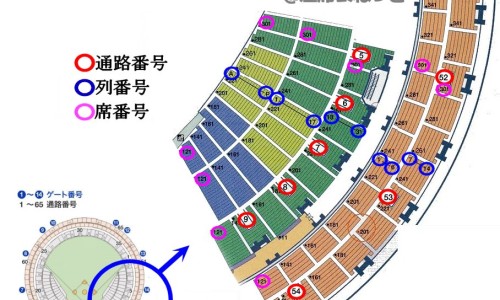 孩子晚上身上痒图片网 - 孩子身上痒怎么回事,孩子身上痒用什么泡澡