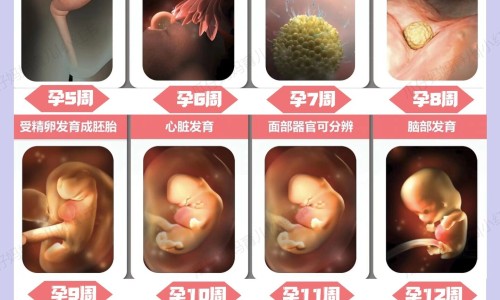 孩子晚上身上痒图片网 - 孩子身上痒怎么回事,孩子身上痒用什么泡澡